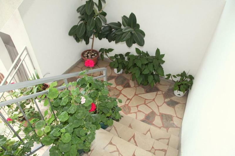 Apartments Villa Ravlic Makarska Dış mekan fotoğraf